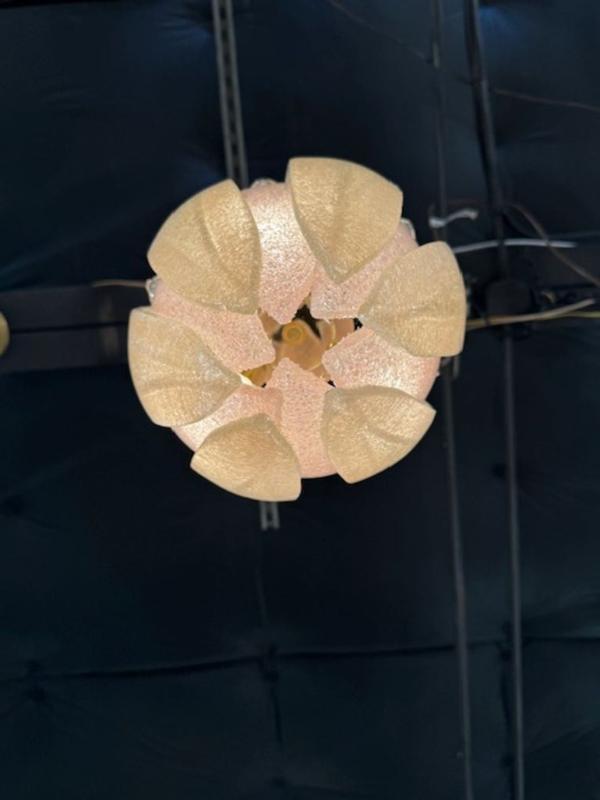 Pair of Pink and Gold "Granola" Murano Glass Pendant Lights - Image 4