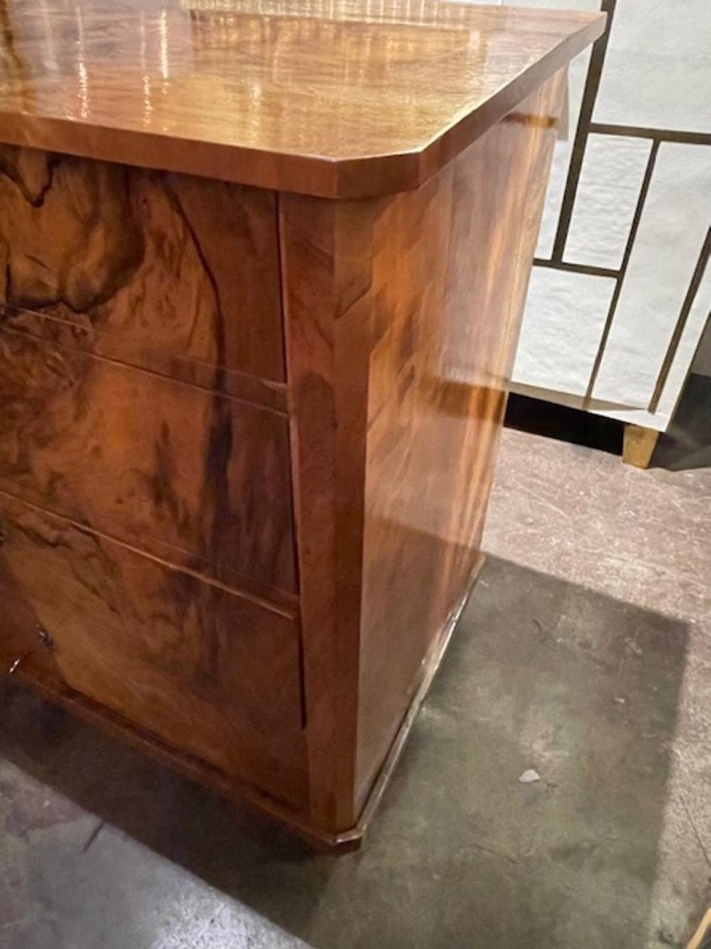 19th c. Biedermeier Black Walnut Chest - Image 4