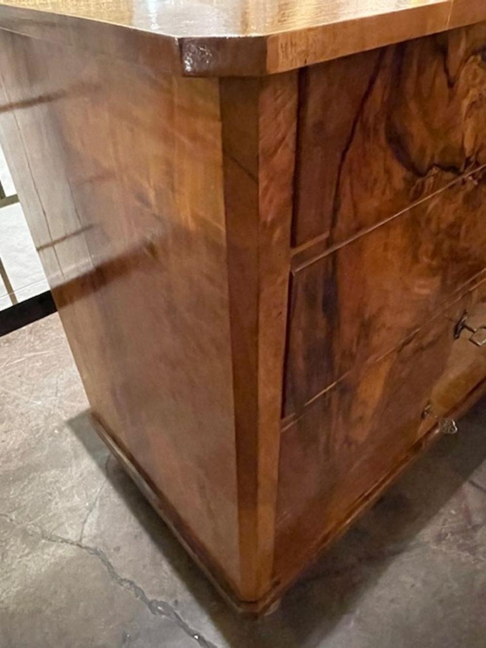 19th c. Biedermeier Black Walnut Chest - Image 5